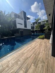 Sunrise Avenue (D28), Terrace #498538491